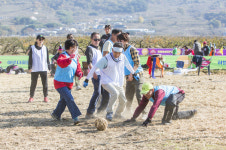 하동 논두렁 축구대회 일반 축구에서 볼 수 없는 진기명기 다 있다