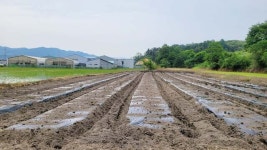지곡면, 사랑으로 키우는 나눔 텃밭