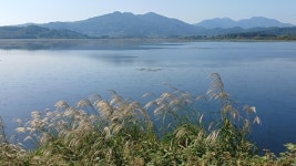 주오돈의 일상 스케치 - 시월 주남지 둑길