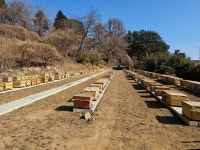 창원시, 2026 양봉지원사업 신청 1월14일 마감