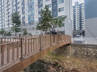 창원 의창구청장, 내동·명호천 민원현장 직접 방문