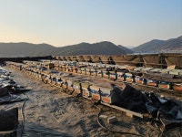 창원특례시, 양봉농가 돕는 구조개선사업 2월 13일까지 접수