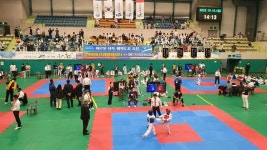 전국 초등학교 태권도 유망주, 사천서 한판 승부 펼친다