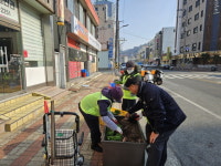 통영시 정량동, 봄 맞이 꽃길 조성으로 주민 생활환경 개선 나서