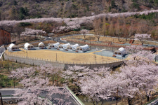 월아산 숲속의 진주, 산림복지 선도모델 각광
