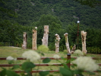 월아산 숲속의 진주, 산림복지 선도모델 각광