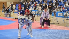 2026 경남종별선수권 태권도대회 고성서 성료