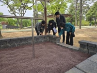 성산구청장, 도심 수목정비 현장 점검