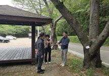 진해구청장, 안민고개길 가로수 민원 현장점검