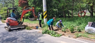 마산회원구 회성동, 두척계곡에 수국정원 조성