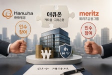 한화생명·메리츠, 애큐온 인수전 맞붙었다…보험사 비은행 확장 경쟁 '점화'