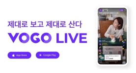[집중탐사] ①보고플레이(VOGO)와 머지포인트, 유사 사태일까?