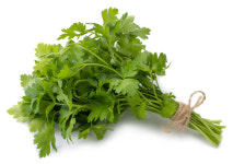 호불호 갈리지만 전립선에 좋은 고수