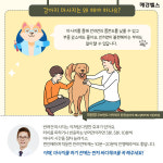 건강 지키는 마사지…반려견도 마사지가 필요할까?