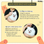 소리에 예민한 우리 강아지, 귀 마사지 필요한 이유는?