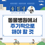 반려견, 동물병원에서 주기적으로 체크해야 할 것은? [슬집생]