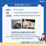 우리 강아지 발사탕 이유는?…가려움 때문 [슬집생]