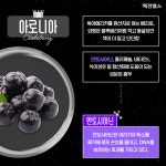 [항암푸드LAB] 항산화의 왕, 슈퍼푸드 아로니아의 '안토시아닌'