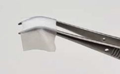 포인트임플란트, 흡수성 멤브레인 ‘MyGis’ 출시