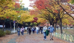 대구광역시치과의사회, 가족사랑 걷기대회로 함박웃음