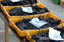 【서천】서천 김, ‘수산식품산업거점단지’로 비상