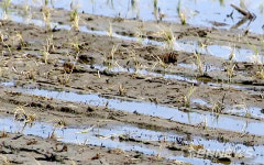 【이슈】서산 부석면 농민들, 현대서산농장과 법정 싸움 나서나?