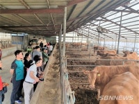 【공주】공주알밤한우 벤치마킹 대상으로 우뚝