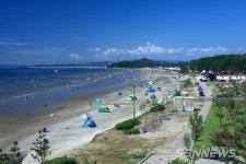 【기획탐방】이번 휴가는 서천의 산과 바다로 떠나자!