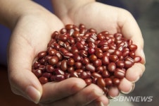 ‘팥(물다이어트) 다리부종,하체다이어트’ 팥 효능은 비타민B가 풍부해 탄수화물의 소화 흡수 및