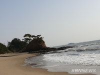 【기획탐방】비인면 선도리 당산을 찾아서...시인 구재기와 함께하는 舒川 山河(서천산하) 12편