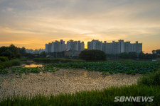 【홍성】홍성군, 생태계 보전협력 사업 선정…국비 5억 원 확보