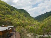 【금산】금산 산림문화타운 보완·유아숲체험원 조성...고품질 산림서비스 제공