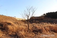 【기획탐방】서천 풍정리 유적공원(遺蹟公園)을 찾아서...시인 구재기와 함께하는 舒川山河(서천산하) 26편