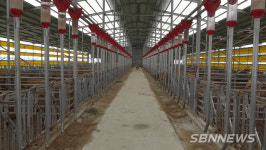 【서천】폐업 위기 축산농가, 서천군 적극행정으로 회생