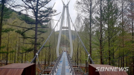 【대전】장태산 자연휴양림 출렁다리 정비 마치고 11일 개통