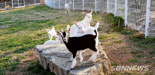 【여행】청양군, 작지만 즐거운 여행 ‘우리 농촌 갈래?’ 상품 판매