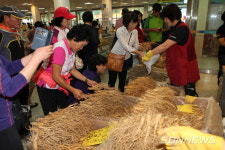 【내포】충남도, ‘인삼 생산자실명 표기’ 본격 시행