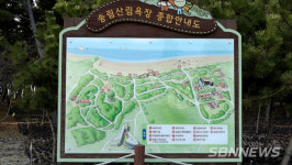 【영상】서천 송림숲에 ‘자연휴양림’ 조성한다...2024년까지 86억 투입