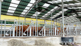 【영상】서천군, 하반기 가축분뇨 배출시설 합동점검 실시