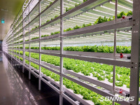 【환경】대전 아파트 단지에 식물농장 만든다...시, 아파트 Farm 추진