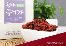 【경제】청양군 코로나19 면역력 it템 청양구기자 강력추천