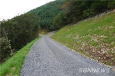 【시사】<교통> 충남도, 올해 임도 확충에 149억 투입...신설65km·보수187㎞