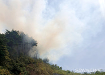 【시사】<화재> 서천 비인면 율리서 산불…1시간 40여 분 만에 진화
