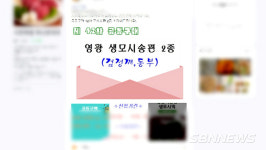 【시사】<영상> 서천 일부 지역농협 하나로마트, 전남영광모시송편 공동구매 논란