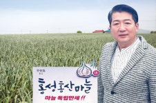 마늘의 독립 홍성 대표 농산물 ‘홍성홍산마늘’