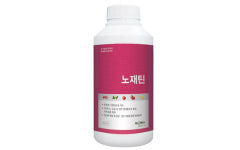 잿빛곰팡이 전문 유기농업자재 글로벌아그로(주) ‘노재틴’