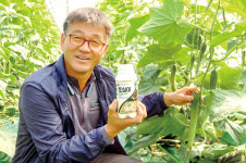 30년 연작 오이시설재배 문제는 ‘연작장애’