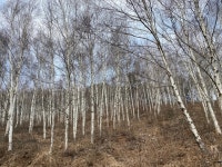 숲에 가치를 심(心)다!