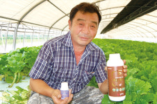 쏘일엔자임 & 크릴오가닉으로 조기 수확 및 고품질 상추 생산
