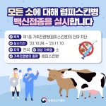 소 럼피스킨병 백신접종, 차질 없이 진행 중